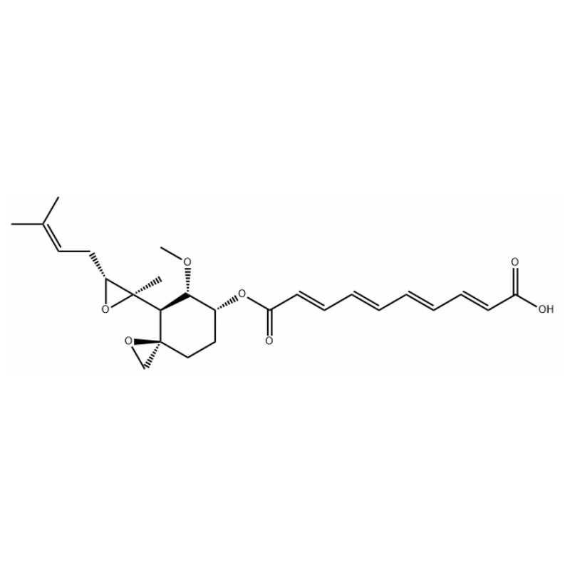 fumagillin هو مضادات الميكروبات أو المضادات الحيوية