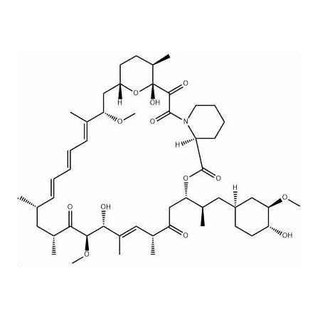 Sirolimus Or Rapamycin Macrolide Antibiotics Immunosuppressants